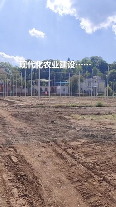 鼎尚銘農(nóng)業(yè)技術(shù)推廣 助力現(xiàn)代農(nóng)業(yè)發(fā)展