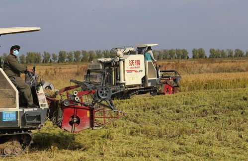 推廣農(nóng)業(yè)機(jī)械化技術(shù)對(duì)農(nóng)業(yè)可持續(xù)發(fā)展的作用